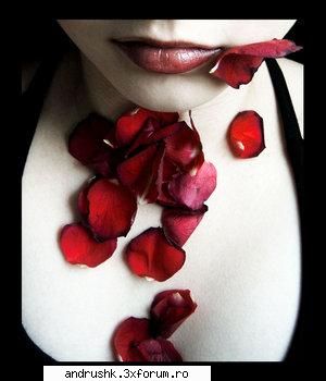 Cateva ganduri... - 16 iunie 2005 another day... "I'm sorry I'm not - Jurnal