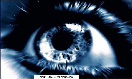 Cateva ganduri... - Last hope.. I will always love the false image I - Jurnal
