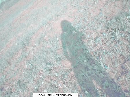 D3v!l_Andr@ - Andrushk - Poze with us