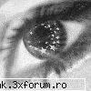 Galeria mea.....morticia - mort|c|a - I like this photo