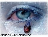 Galeria mea.....morticia - mort|c|a - I like this photo