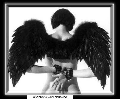 a new gallery..:) - nyoopi - I like this photo