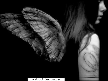 a new gallery..:) - nyoopi - I like this photo