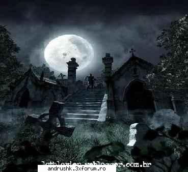 a new gallery..:) - nyoopi - I like this photo