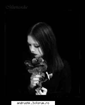 a new gallery..:) - nyoopi - I like this photo