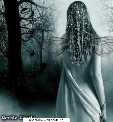 a new gallery..:) - nyoopi - I like this photo