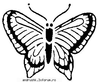 a new gallery..:) - nyoopi - I like this photo