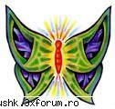 a new gallery..:) - nyoopi - I like this photo