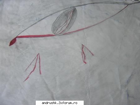 creatiile mele - in aproximativ toate desenele mele apare cate un - Creatii